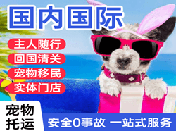 金湾机场货运国际宠物托运 【国