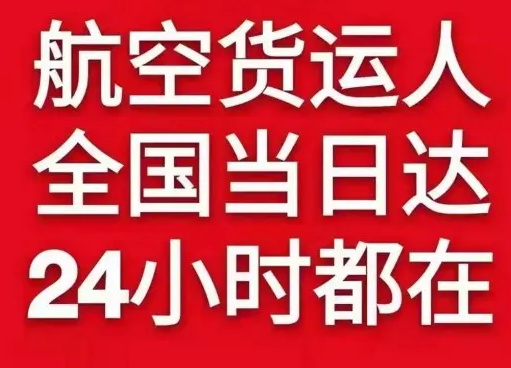 金湾机场货运货物、航空货运:物流行业各岗位招聘